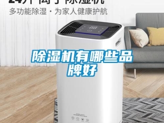 企業新聞除濕機有哪些品牌好