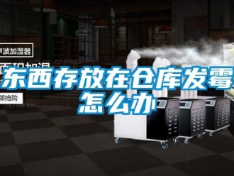 常見問題東西存放在倉庫發霉怎么辦