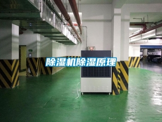 企業新聞除濕機除濕原理
