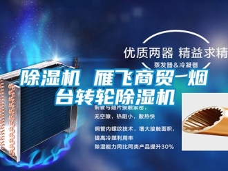 常見問題除濕機(jī) 雁飛商貿(mào) 煙臺(tái)轉(zhuǎn)輪除濕機(jī)