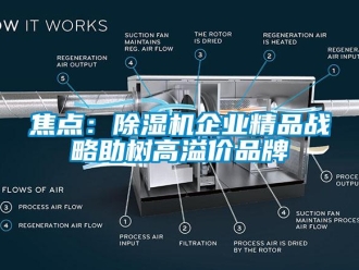 行業(yè)新聞焦點：除濕機企業(yè)精品戰(zhàn)略助樹高溢價品牌