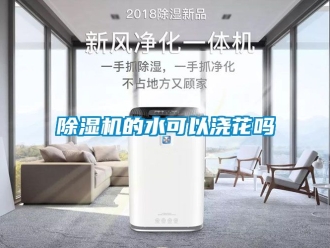 企業新聞除濕機的水可以澆花嗎