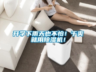 行業新聞開學下雨天也不怕！干爽就用除濕機！