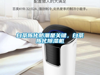 常見問題白茶陳化防潮是關鍵，白茶陳化除濕機