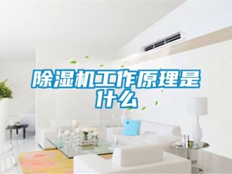 行業(yè)新聞除濕機工作原理是什么