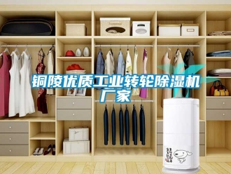 企業新聞銅陵優質工業轉輪除濕機廠家