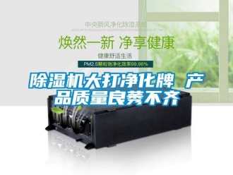 企業新聞除濕機大打凈化牌 產品質量良莠不齊