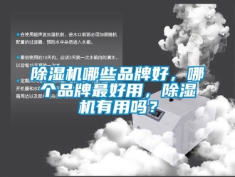 企業新聞除濕機哪些品牌好，哪個品牌最好用，除濕機有用嗎？