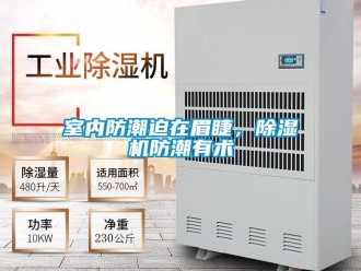 知識百科室內防潮迫在眉睫，除濕機防潮有術
