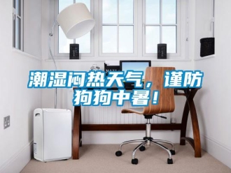 企業新聞潮濕悶熱天氣，謹防狗狗中暑！