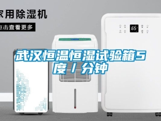 知識百科武漢恒溫恒濕試驗箱5度／分鐘