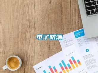 企業(yè)新聞電子防潮