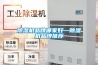 除濕機品牌排行_除濕器品牌介紹