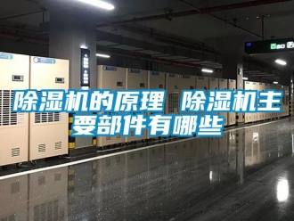 企業新聞除濕機的原理 除濕機主要部件有哪些