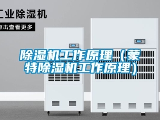 行業(yè)新聞除濕機工作原理（蒙特除濕機工作原理）