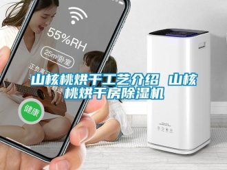 知識百科山核桃烘干工藝介紹 山核桃烘干房除濕機