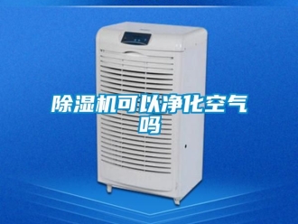 行業(yè)新聞除濕機(jī)可以凈化空氣嗎