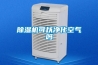 除濕機可以凈化空氣嗎