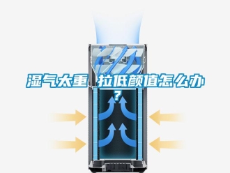 常見問題濕氣太重 拉低顏值怎么辦？