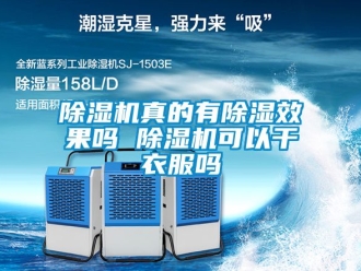 行業新聞除濕機真的有除濕效果嗎 除濕機可以干衣服嗎