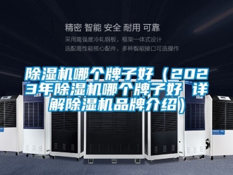 企業新聞除濕機哪個牌子好（2023年除濕機哪個牌子好 詳解除濕機品牌介紹）