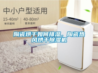 行業新聞陶瓷烘干如何排濕，陶瓷熱風烘干除濕機