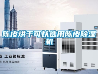 企業新聞陳皮烘干可以選用陳皮除濕機