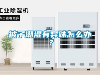 常見問題被子潮濕有異味怎么辦？