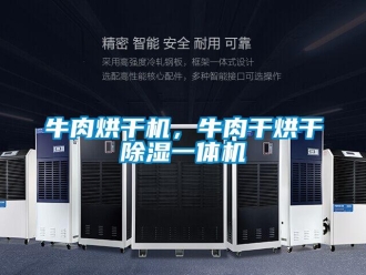 行業新聞牛肉烘干機，牛肉干烘干除濕一體機