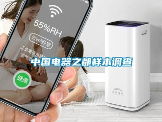 知識百科中國電器之都樣本調查