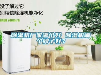 企業新聞除濕機廠家哪個好 除濕機哪個牌子好？