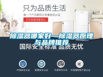 行業新聞除濕器哪家好—除濕器原理與品牌推薦