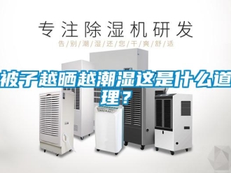 常見問題被子越曬越潮濕這是什么道理？