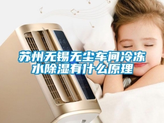企業新聞蘇州無錫無塵車間冷凍水除濕有什么原理