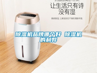 企業新聞除濕機品牌哪個好 除濕機的利弊