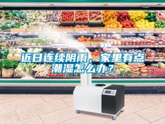 常見問題近日連續(xù)陰雨，家里有點潮濕怎么辦？