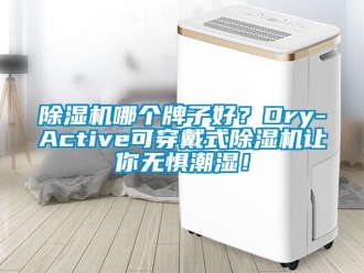 行業新聞除濕機哪個牌子好？Dry-Active可穿戴式除濕機讓你無懼潮濕！
