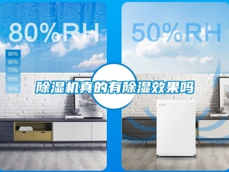 行業新聞除濕機真的有除濕效果嗎