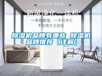 企業(yè)新聞除濕機品牌有哪些 除濕機品牌推薦【詳解】