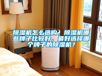 行業(yè)新聞除濕機怎么選購，除濕機哪些牌子比較好，最好選擇哪個牌子的除濕機？