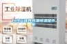 白沙元器件恒溫恒濕儲(chǔ)存柜