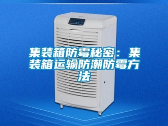 常見問題集裝箱防霉秘密：集裝箱運(yùn)輸防潮防霉方法