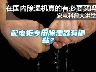 行業新聞配電柜專用除濕器有哪些？
