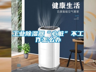 常見問題工業除濕器“心臟”不工作怎么辦