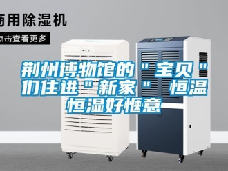知識百科荊州博物館的＂寶貝＂們住進＂新家＂ 恒溫恒濕好愜意