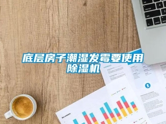 企業新聞底層房子潮濕發霉要使用除濕機