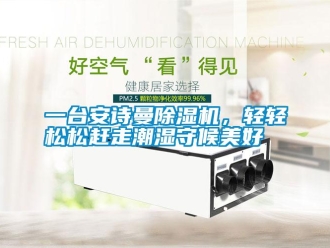 企業(yè)新聞一臺安詩曼除濕機(jī)，輕輕松松趕走潮濕守候美好