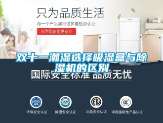 知識百科雙十一潮濕選擇吸濕盒與除濕機的區別