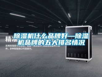 企業新聞除濕機什么品牌好—除濕機品牌的五大排名情況