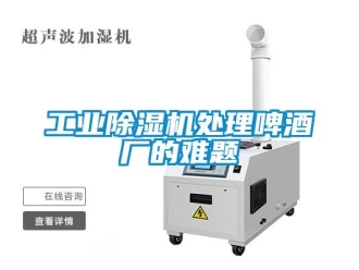企業新聞工業除濕機處理啤酒廠的難題
